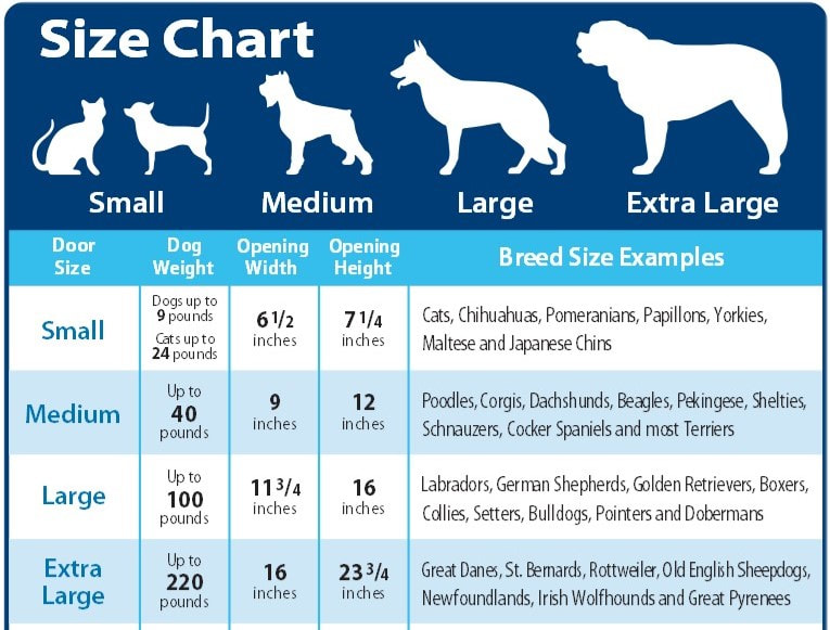 Dog Run Size Chart